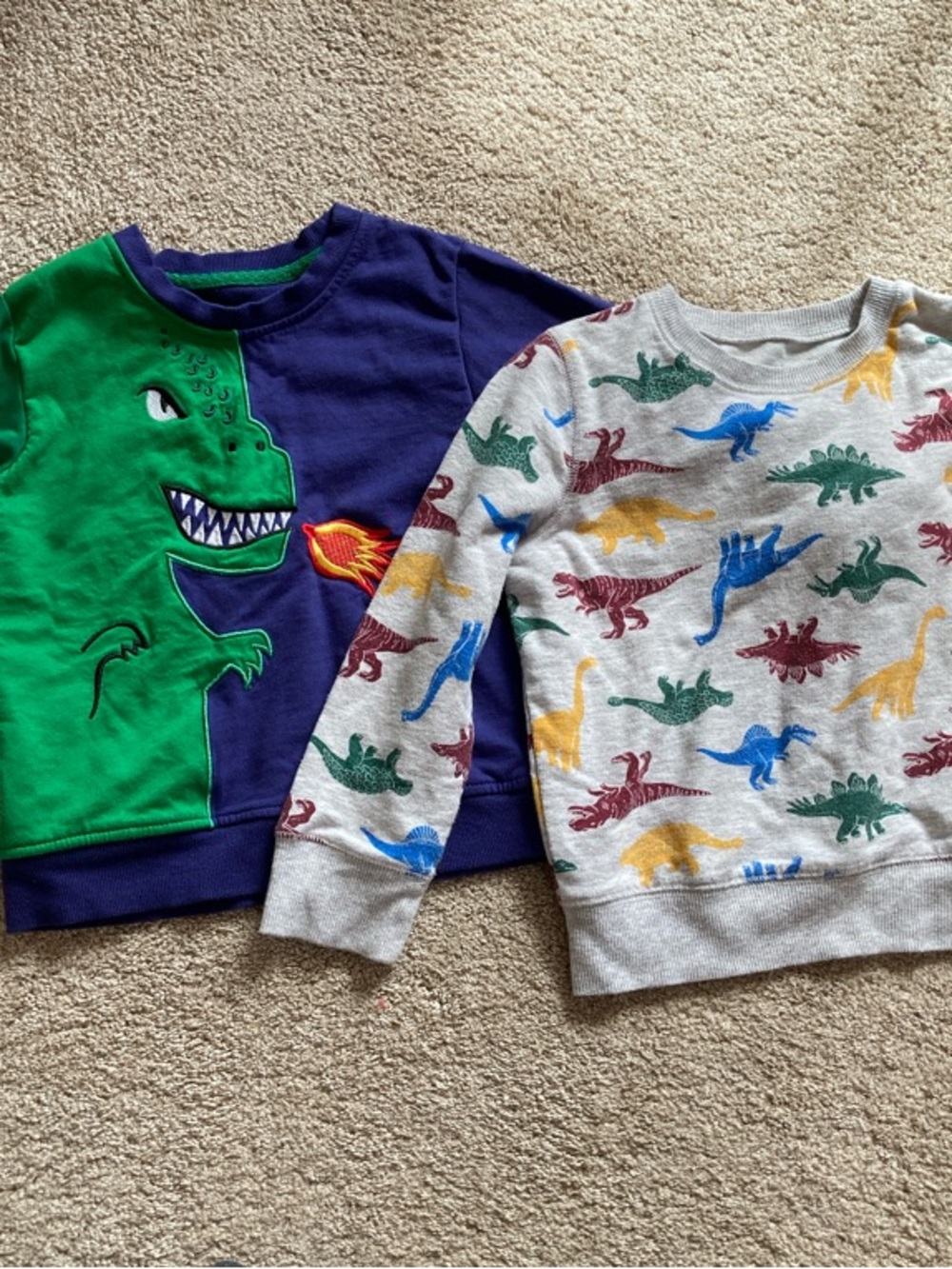 Boys' Dino Duo Sweatshirts - Green, Navy & Gray
